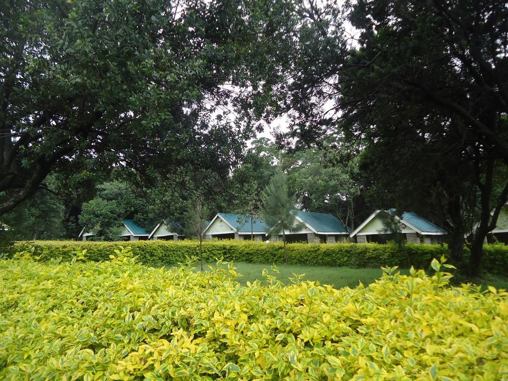 Rhino Tourist Camp Hotel Ololaimutiek Bagian luar foto
